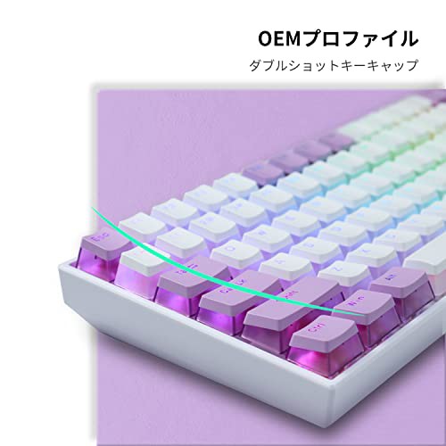 XVX キーキャップ 165キー プリンキーキャップ PBT 透明感キー