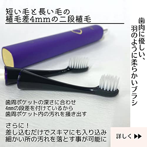 羽のように柔らかいブラシ】リニア音波歯ブラシ Plume（プリューム