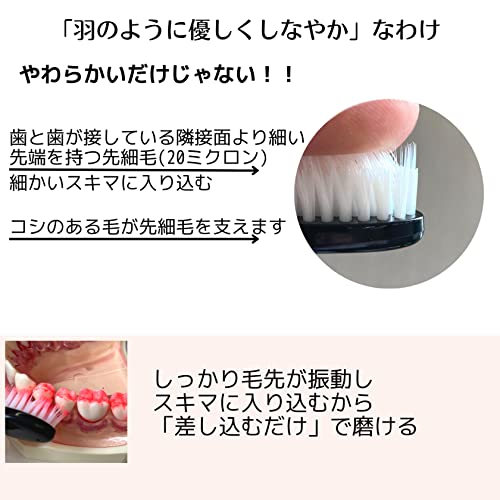 羽のように柔らかいブラシ】リニア音波歯ブラシ Plume（プリューム