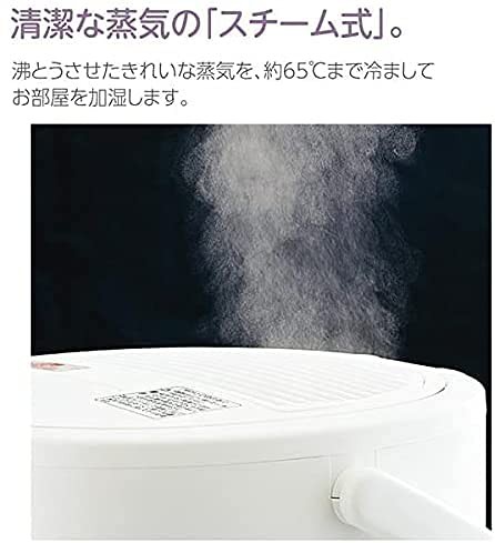 象印 加湿器 4.0L グレー EE-DC50-HA