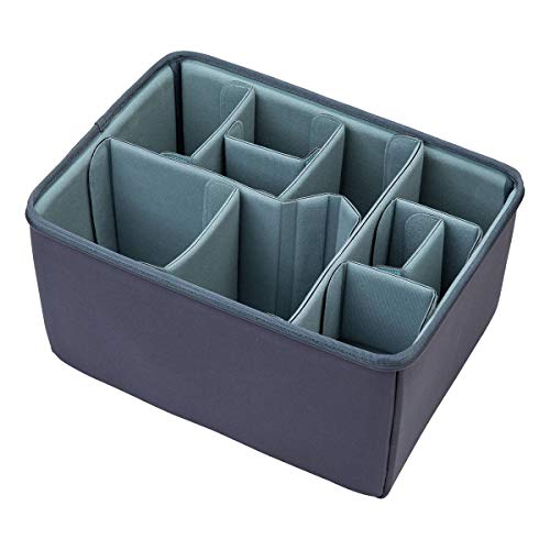 [Shimoda] インナーバッグ Shimoda カメラバッグ インナー コアユニット CoreUnit パリジャンナイト