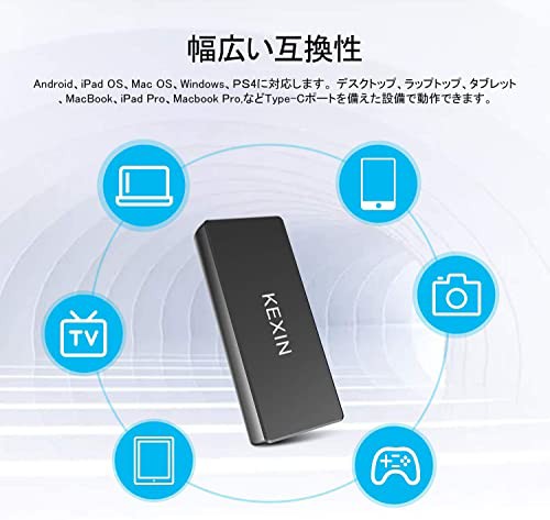 KEXIN SSD 外付け 500GB USB 3.1(Gen2) ミニSSD Type-C 読込最大550MB