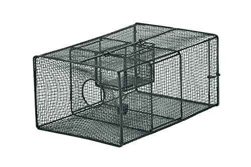 栄工業 栄ヒルズ ブラックBOX A type No.102 NZ-2の通販は 7,770円