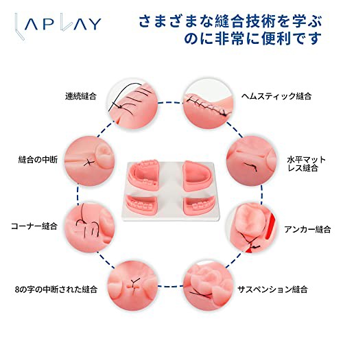 LAPLAY 歯 模型 練習 歯科器 縫合練習キット 歯周縫合 経口縫合 歯科