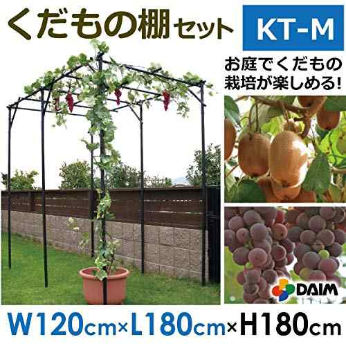 daim パーゴラ 果物棚 セット 幅120cm 奥行180cm 高さ180cm 藤棚