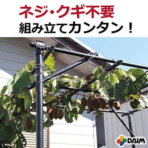 daim パーゴラ 果物棚 セット 幅120cm 奥行180cm 高さ180cm 藤棚