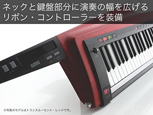 KORG（コルグ）キーター シンセサイザー ステージキーボード 電池駆動 RK-100S 2BK トランスルーセント・ブラック