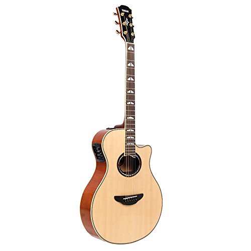 ヤマハ エレアコギター APX1000 NTの通販は