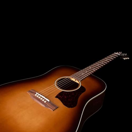 ✦BlueBell W−350ドレッドノートギター　エレアコ仕様！短期限定値下げ ✦BlueBell W−350ドレッドノートギター エレアコ仕様！短期限定値下げ