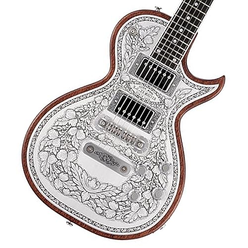 Zemaitis ゼマイティス Metal Fronts MFG-AC-24, Naturalの通販は