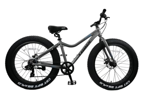 TRINX ビーチクルーザー ファットバイク 26インチ