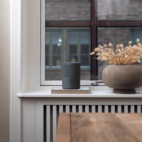 AbusoDry（アブソドライ） 電気不使用のエコ除湿器 グレー EBS-JGY 除湿剤1袋で2〜3ヶ月使用 スウェーデン製の通販は