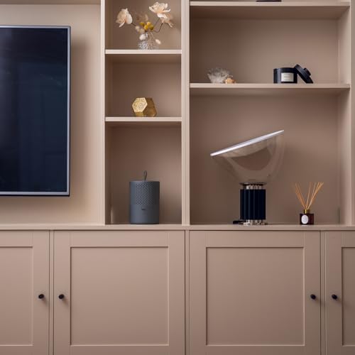 AbusoDry（アブソドライ） 電気不使用のエコ除湿器 グレー EBS-JGY 除湿剤1袋で2〜3ヶ月使用 スウェーデン製の通販は