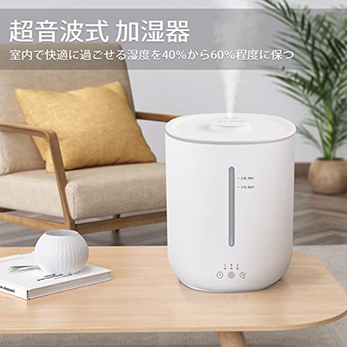 Wellwerks 加湿器 卓上 小型 2.8L 大容量 アロマ対応 超音波式 加湿機