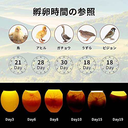 孵卵器 自動転卵 温度湿度管理！ 検卵LED付き - 鳥用品