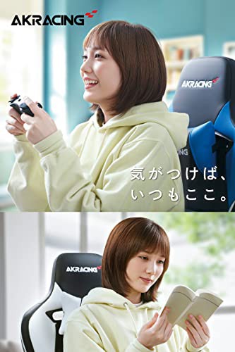 AKRacing オフィスチェア ゲーミングチェア Raven レイブン Premium 高