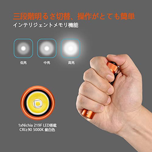 ACEBEAM Pokelit AA 懐中電灯 小型 軽量 強力 550ルーメン単三 3段階調