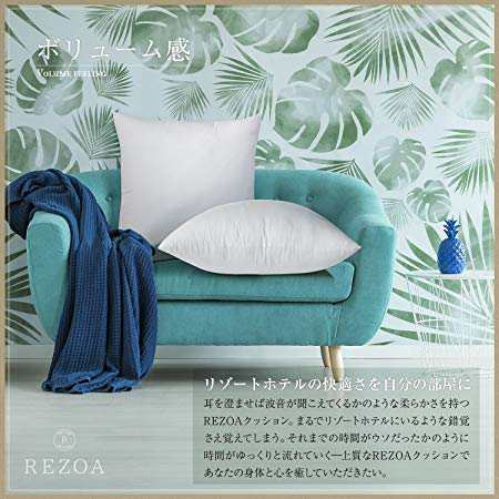 REZOA (レゾア) クッション 中身 日本製 ヌードクッション 45×45 cm 2個セット 【洗濯機で洗える  適度な弾力でへたらない】の通販はau PAY マーケット - HATINANA | au PAY マーケット－通販サイト