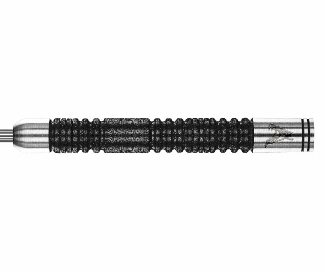 バレル【レッドドラゴン】スネークバイト ピーター・ライトモデル ダブルワールドチャンピオン SE スティール 24g 2410の通販は 13,300円