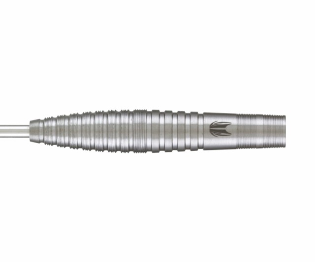 バレル【ターゲット】ダレル・フィットンモデル G2 スティール 22g 190020の通販は