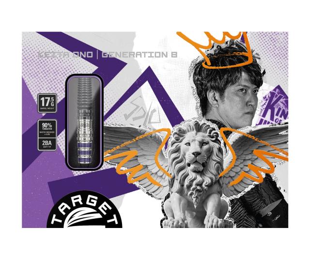 美品！ソロ ジェネレーション8 小野恵太モデル　エスダーツ限定モデル TARGET JAPAN SOLO G8 (ソロ ジェネレーションエイト) SWISS