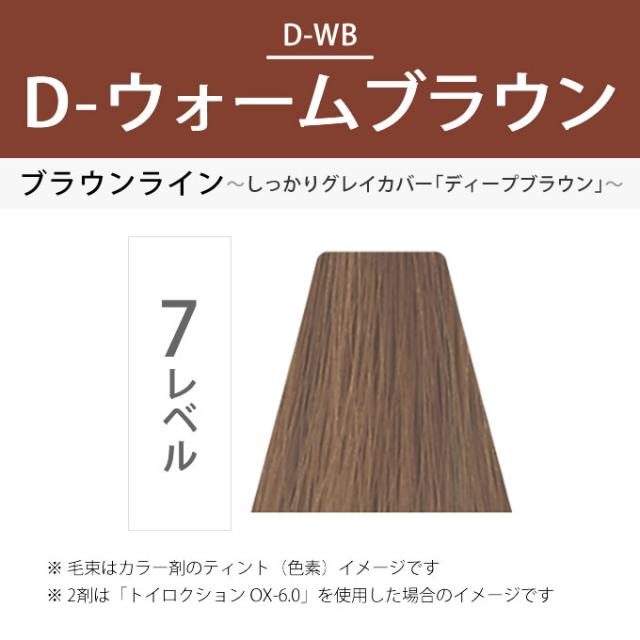 デミ トイロクション D-7/WB（D-ウォームブラウン）第1剤 80g 医薬部外