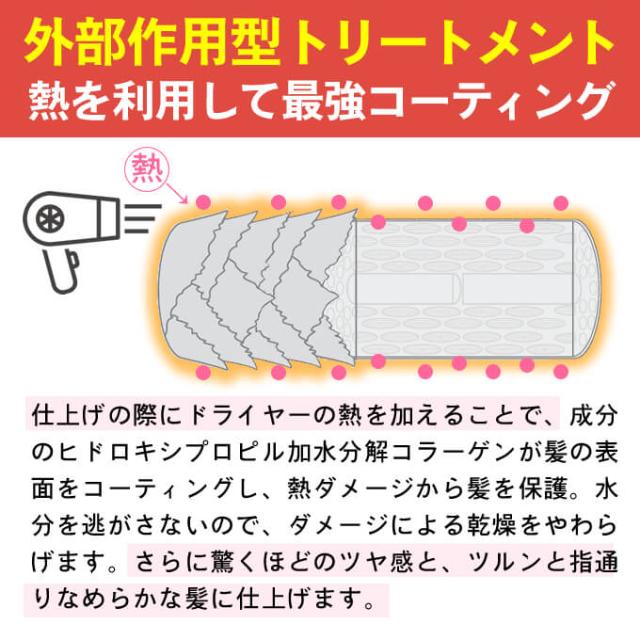 ハホニコ ビッツル トリートメント 2800g 業務用詰め替え用 ハホニコ