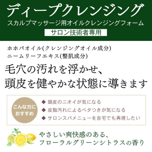 デミ ビオーブ スキャルプ 《お試し》 パーフェクト フルセット ドライスキン[乾燥肌]用