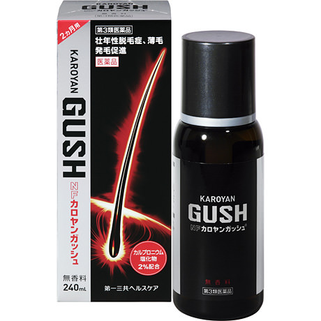 第一三共ヘルスケア ＮＦカロヤンガッシュ　２４０ｍｌ×1パック