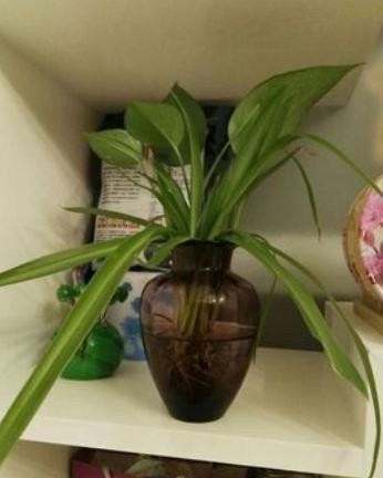 フラワーベース 花瓶 神秘的カラー レトロ風 ガラス製 くびれ付き パープル の通販はau Pay マーケット ノイシュタット