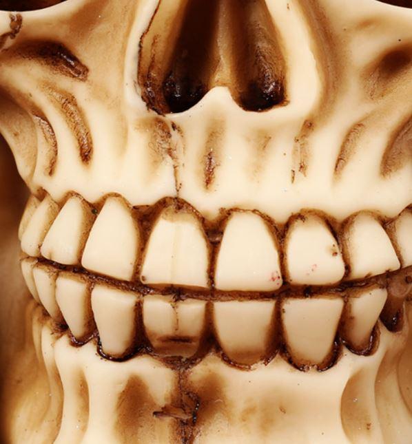 置物 骸骨 スカル 古代兵士 アンティーク風 Bタイプ の通販はau Pay マーケット ノイシュタット