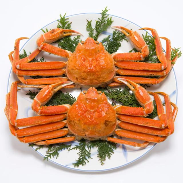 ズワイガニ かに カニ ずわいがに2尾セット〔ボイル冷凍ずわいがに姿2尾で1kg前後〕 送料無料 北海道