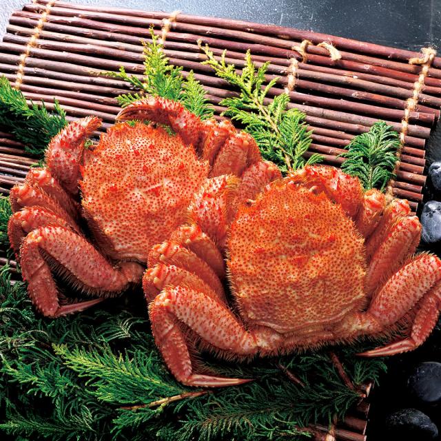 冷凍 ボイル 毛がに 札幌蟹販 2尾セット 蟹 毛ガニ 姿 冷凍食品 ゆで毛蟹