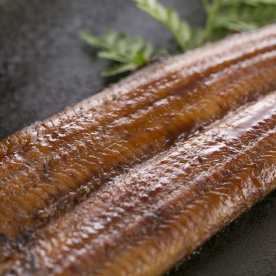 送料無料 グルメ  ウナギ 鰻 うなぎ屋きた本 うなぎ蒲焼きセット（4人前） 有限会社北本養鰻場 予約殺到の人気うなぎ店の蒲焼きをお届けの通販は
