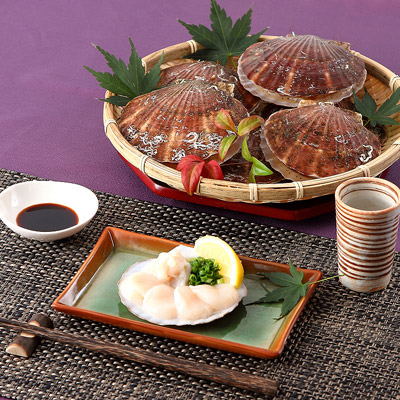 ほたてGift 青森県・むつ湾産活ほたて４kg おいしさ直送！の通販は