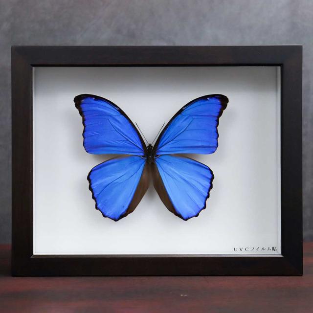 犬服 GE RIPPLE Dog Sweater 犬 おしゃれ ブランド 服 日本製 グリ