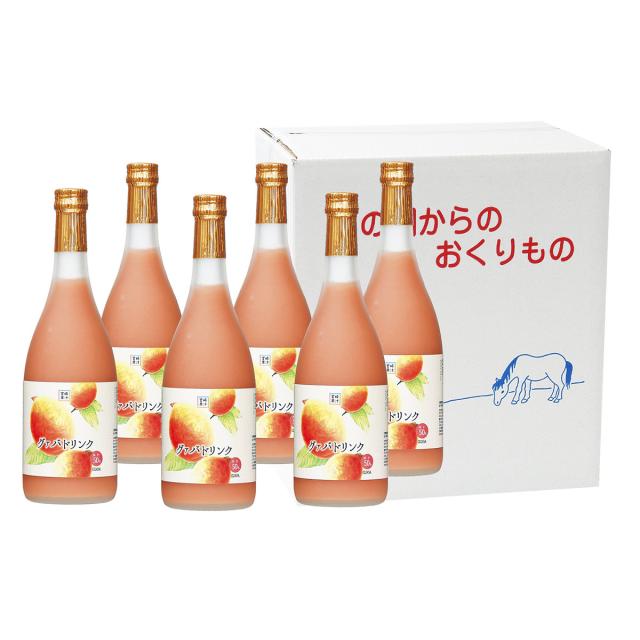 グァバドリンク 720ml×6本セット 3本 詰合せ 宮崎 ジュース 宮崎果汁その他野菜・フルーツジュース