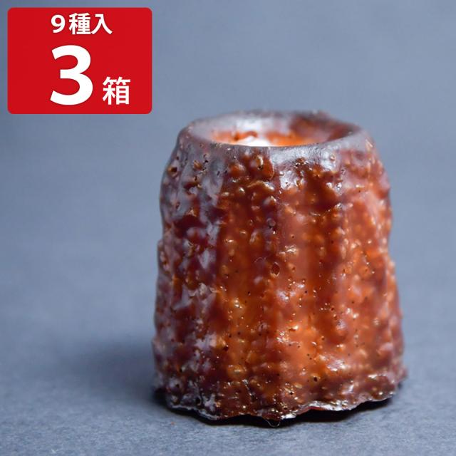 京都奥丹波カヌレ 9種入3箱セット お菓子 京都 スイーツ 焼菓子 詰め合わせ お取り寄せスイーツ ご当地