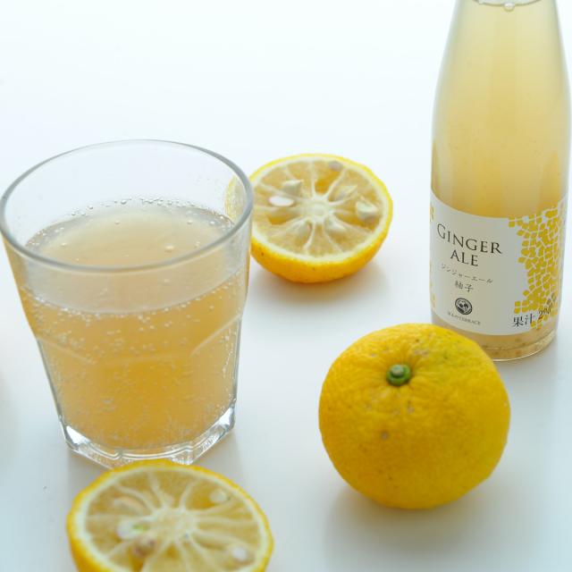 はるのてらす ジンジャーエール 柚子 12本 195ml 炭酸飲料 高知 生姜の通販は