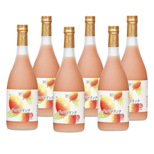 グァバドリンク 720ml×6本セット 3本 詰合せ 宮崎 ジュース 宮崎果汁