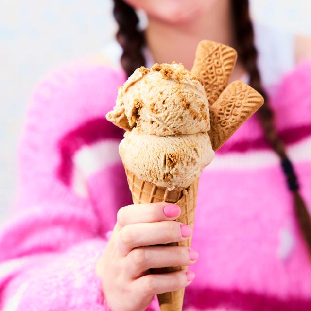 エクリプスコ バルクアイス クッキーバター 4個 植物性アイス スイーツ アイス おやつ デザート【沖縄県・離島 配送不可】