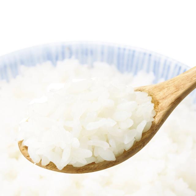 尾西食品 アルファ米 尾西の白飯 50食 スプーン付き アルファ化米 ご飯 5年保存 非常食 長期保存食 常温【沖縄県・離島 配送不可】