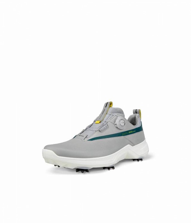 ECCO Golf エコー ゴルフ メンズ 男性用 シューズ 靴 スニーカー 運動靴 Biom G5 BOA Golf Shoes Concrete/Baygreen【送料無料】