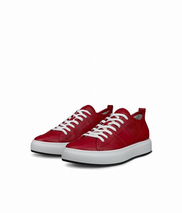 ECCO エコー レディース 女性用 シューズ 靴 スニーカー 運動靴 Street Ace Sneaker Chili Red/Chili Red【送料無料】