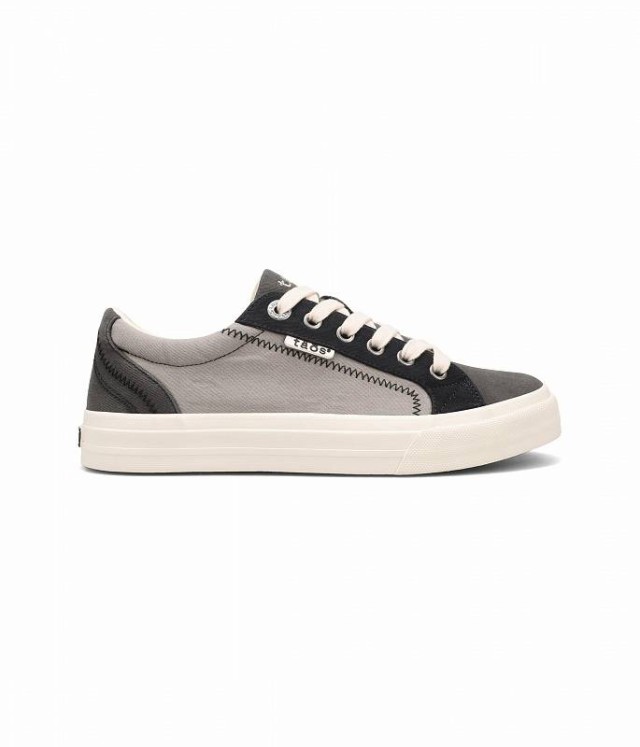 taos Footwear タオス レディース 女性用 シューズ 靴 スニーカー 運動靴 Plim Soul Black/Graphite Multi【送料無料】