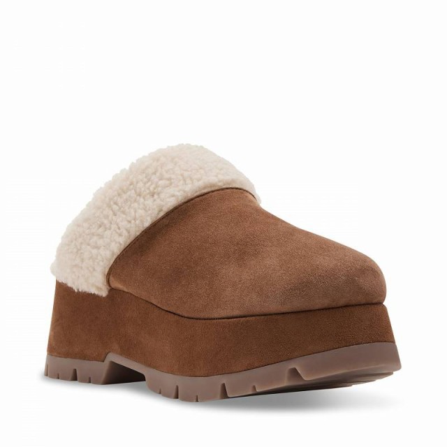 Steve Madden スティーブマデン レディース 女性用 シューズ 靴 クロッグ Juney Chestnut Suede【送料無料】