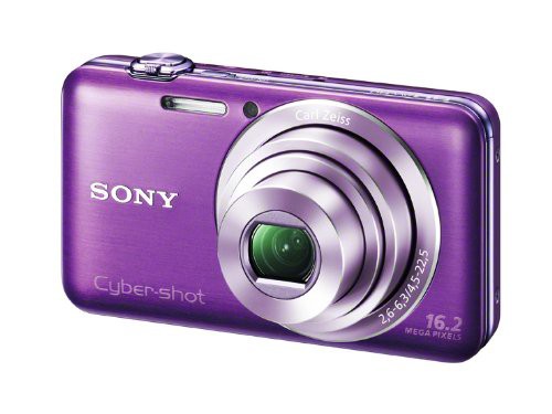 ソニー SONY デジタルカメラ Cyber-shot WX30 (1620万画素CMOS/光学x5) バイオレット (中古品)