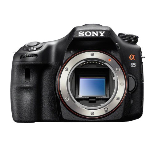 ソニー SONY 一眼 α65 ボディ SLT-A65V(中古品)の通販は 27,073円