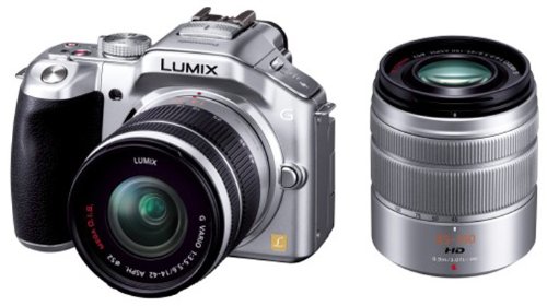 LUMIX DMC-G5X ミラーレスカメラ パナソニック(Panasonic