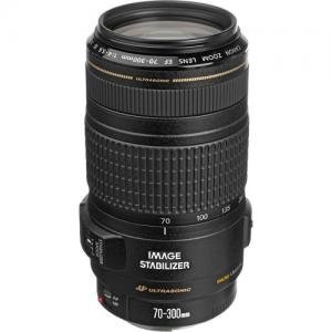 Canon キャノン カメラレンズ EF 70-300mm f/4-5.6 IS USM Lens【並行輸入 (中古品)の通販は